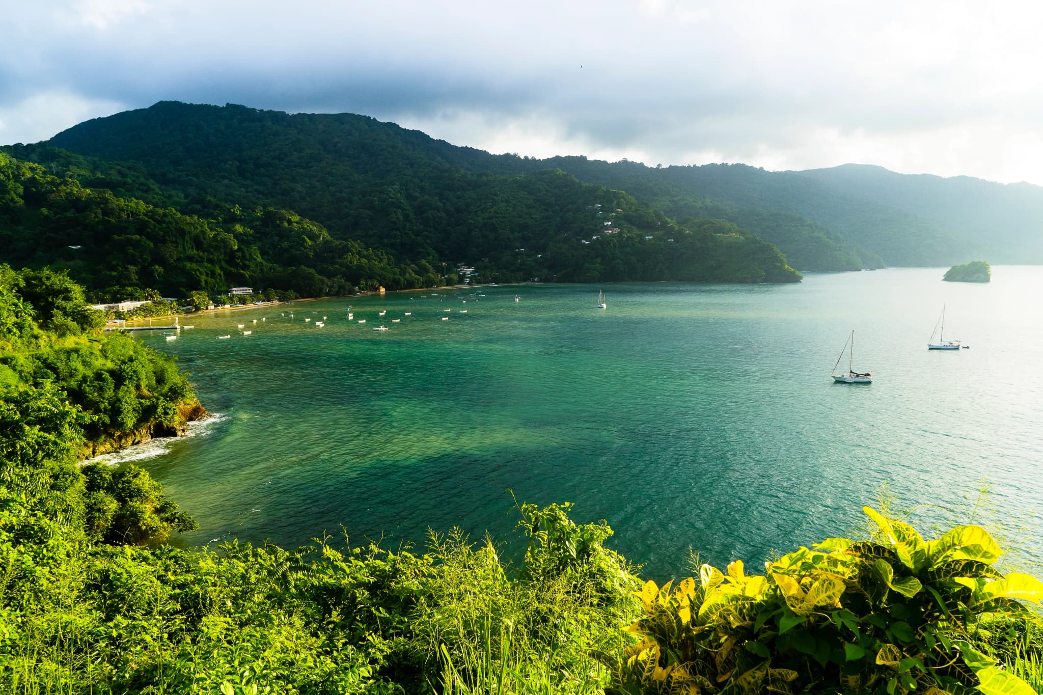 Lesser Antilles featuring Martinique & Tobago