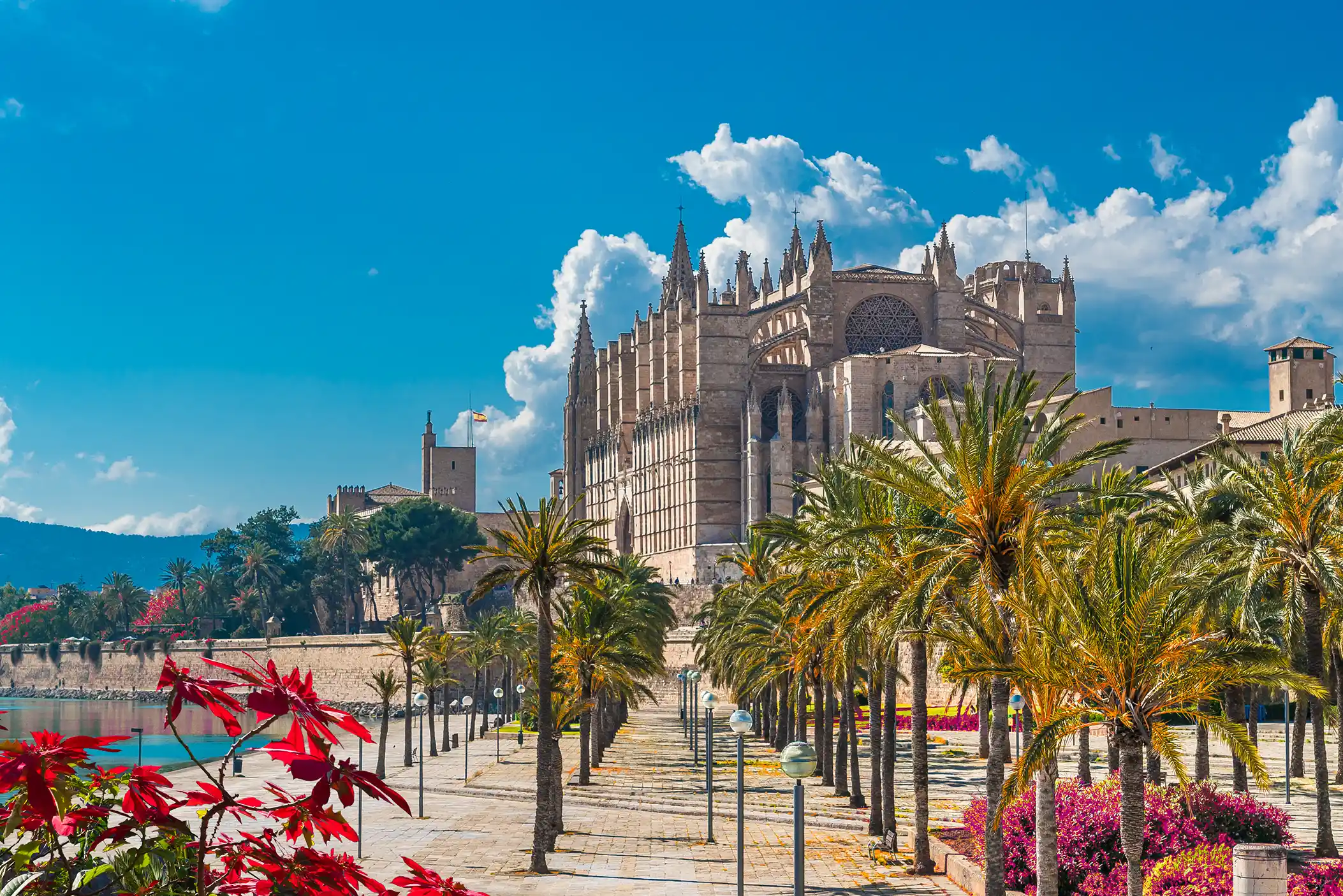 Port view of Palma de Mallorca, Spain