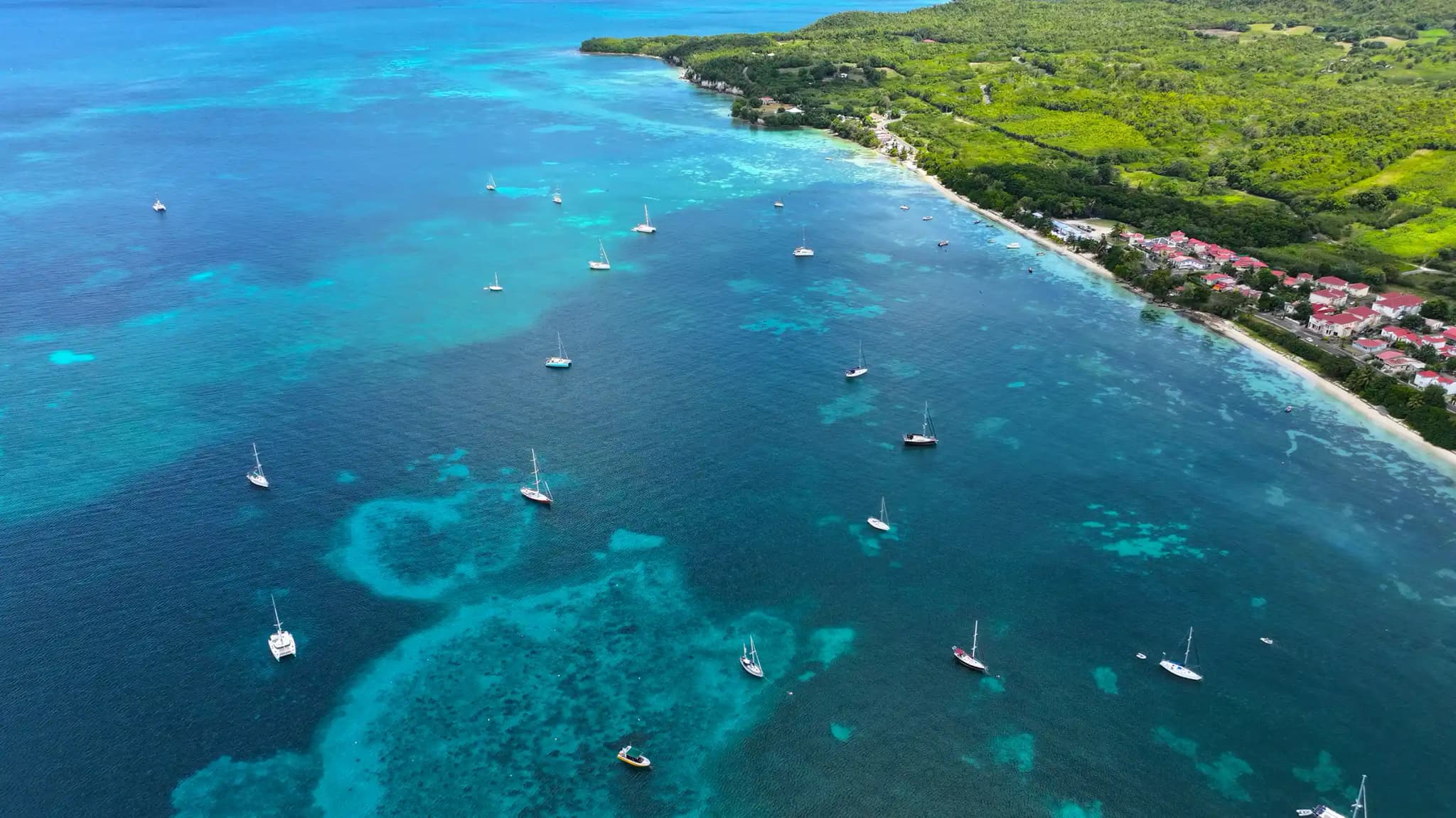 Grand Caribbean *featuring* Tobago & Dominica
