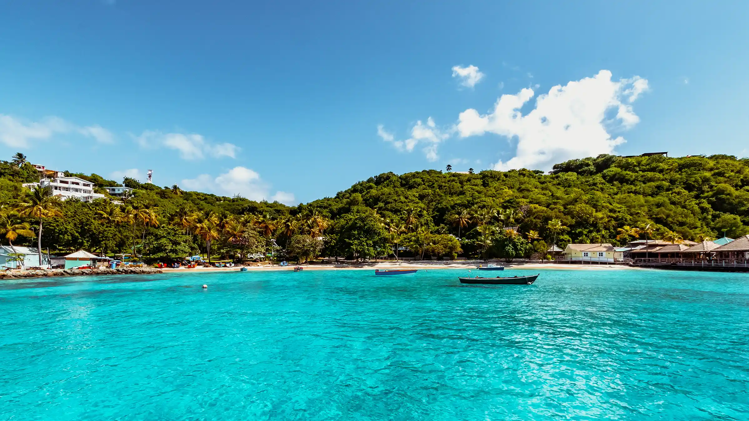 Lesser Antilles *featuring* Nevis & Saint Martin