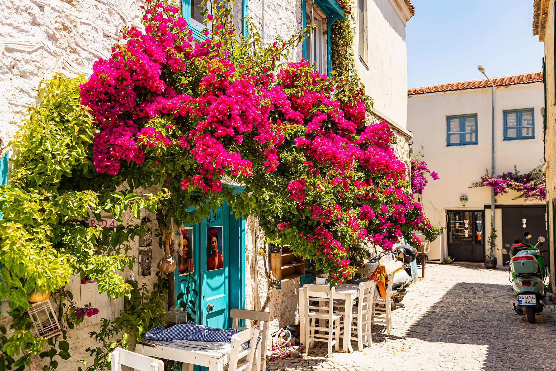 View of street in Cesme Turkey with beautiful wall plant