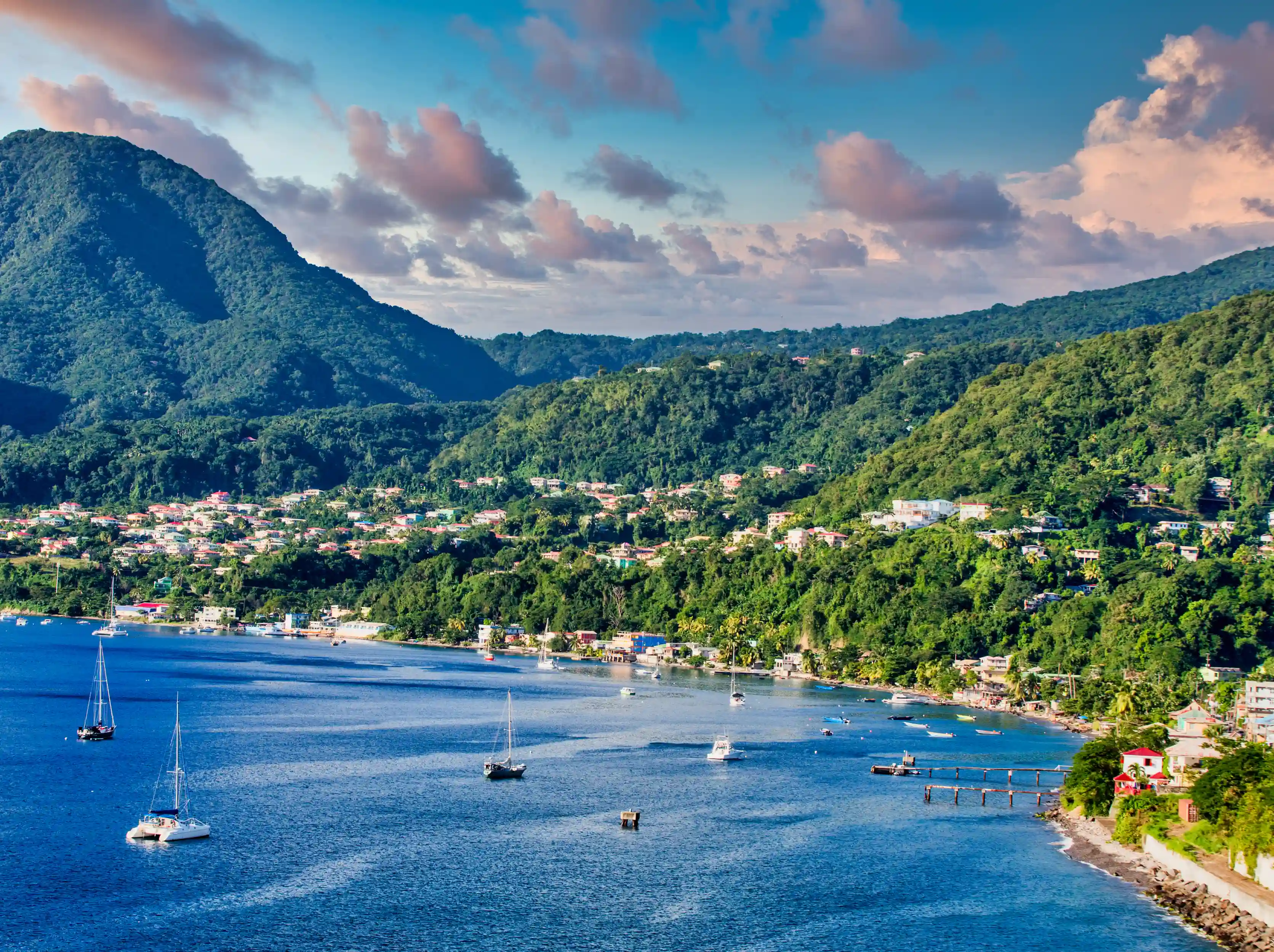 Lesser Antilles featuring the Grenadines & Dominica