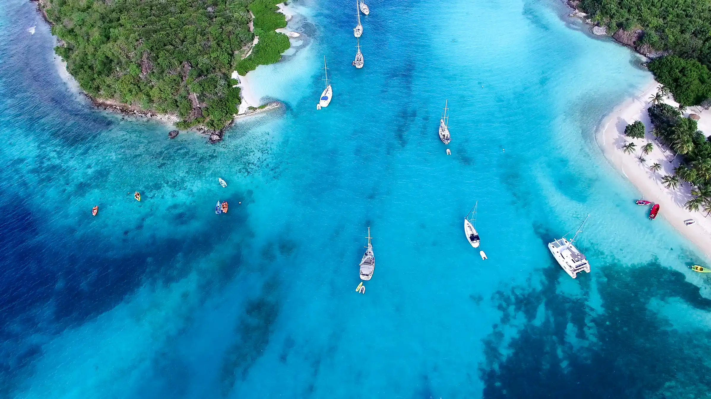 Lesser Antilles *featuring* Tobago & Grenada