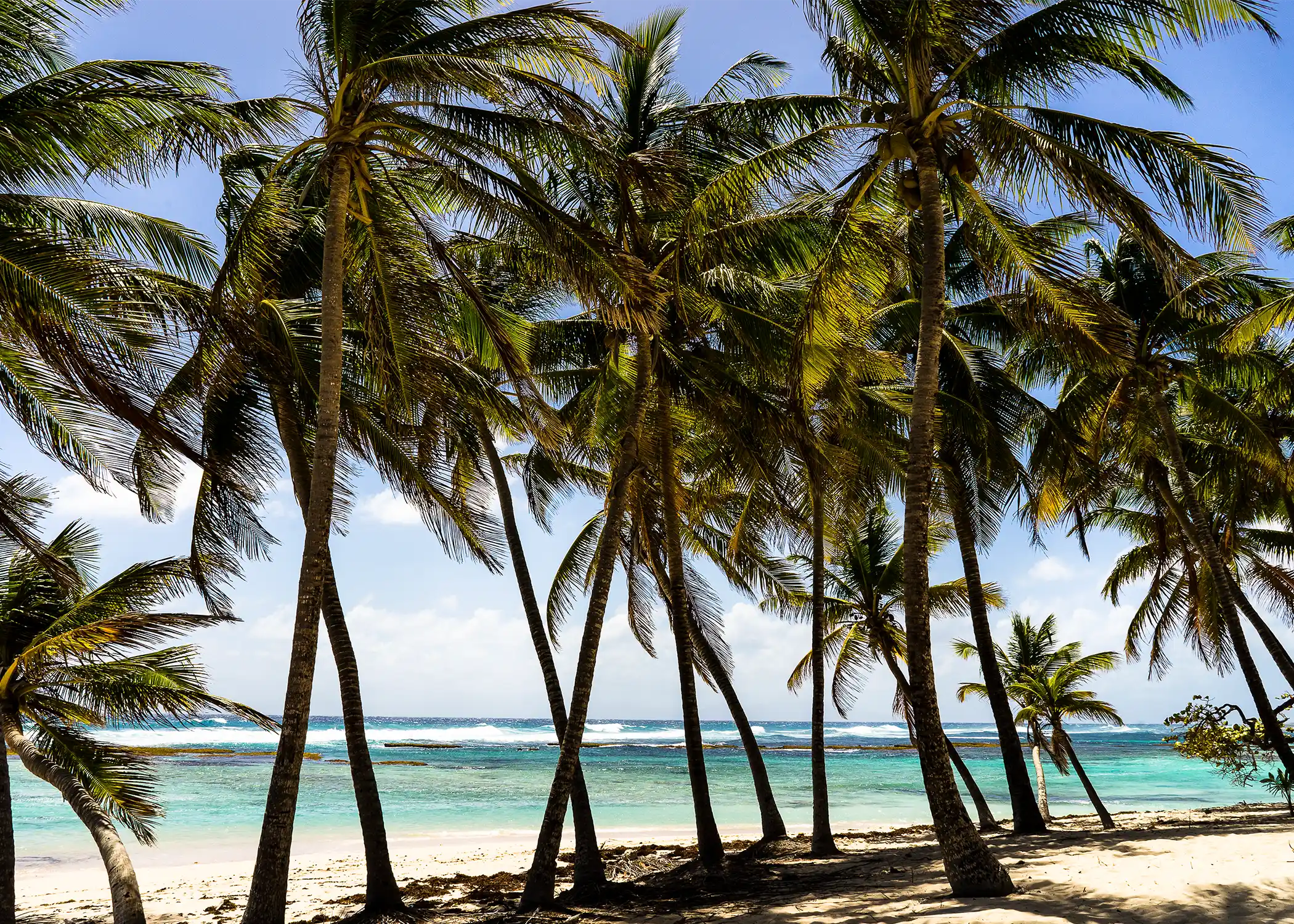 Four Seasons Yachts Caribbean Luxury Cruise On A Yacht Four seasons yachts caribbean luxury cruise on a yacht